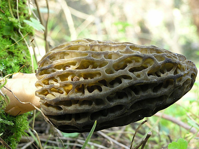 A Pergusa (EN) con Giovanni