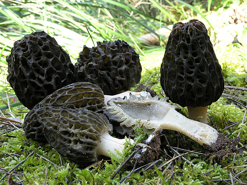 A Pergusa (EN) con Giovanni