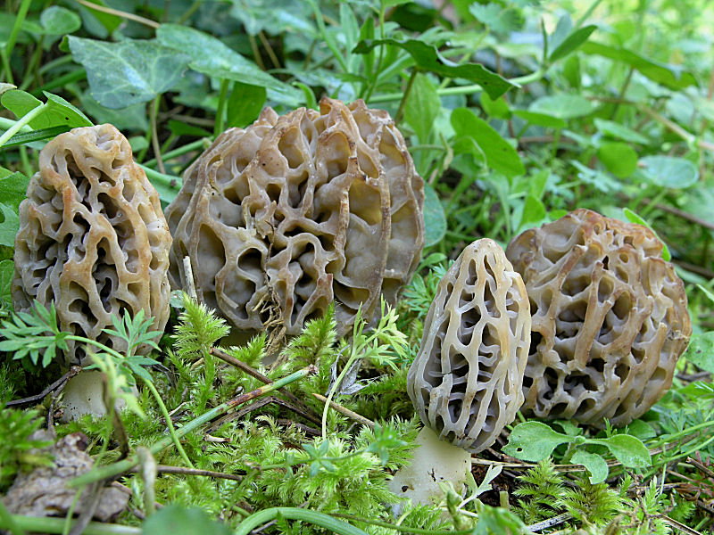 A Pergusa (EN) con Giovanni