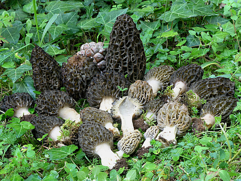 A Pergusa (EN) con Giovanni