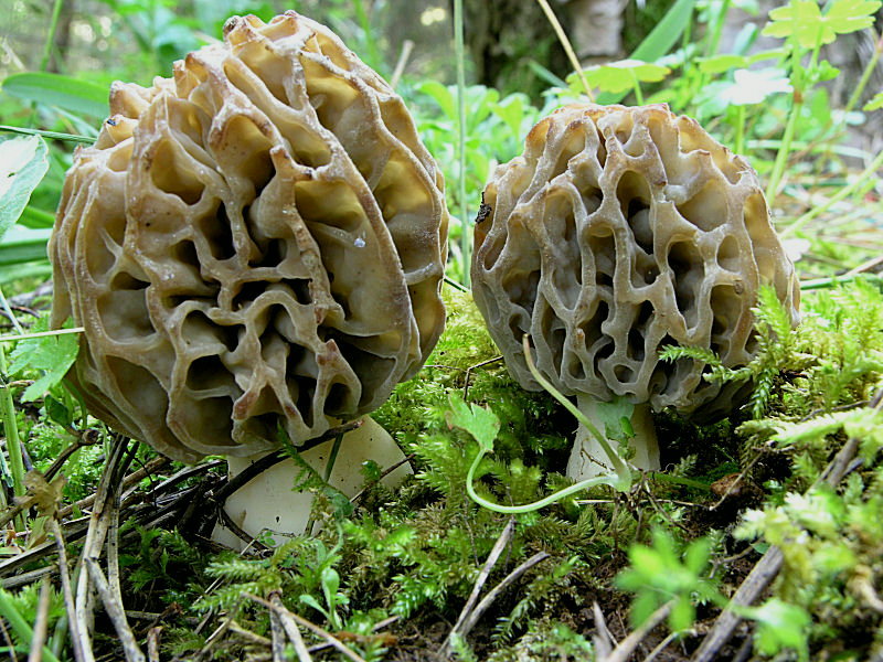 A Pergusa (EN) con Giovanni