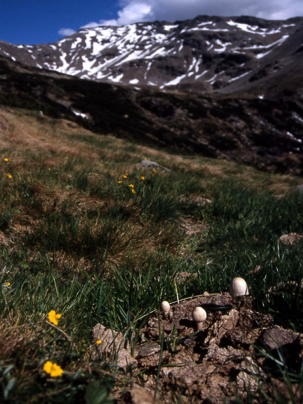 ...a 2100 m. .........