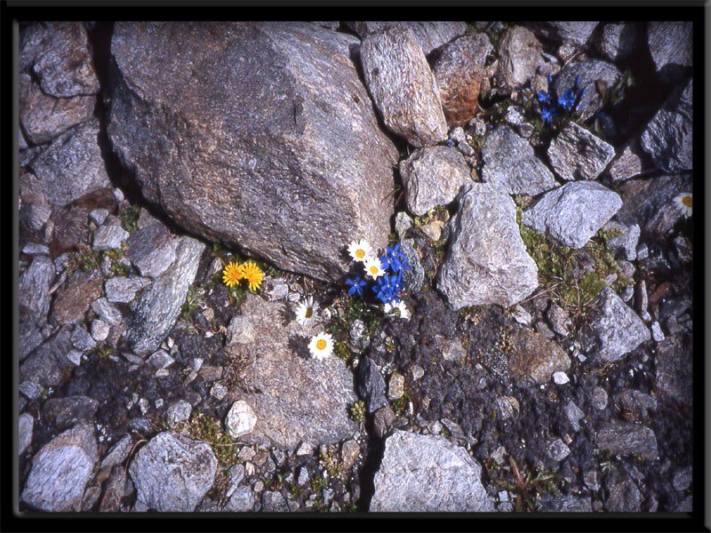 ...luglio 2005...incontro con Reinhold Messner...