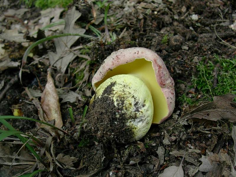 ritrovamenti del 27.09 .05