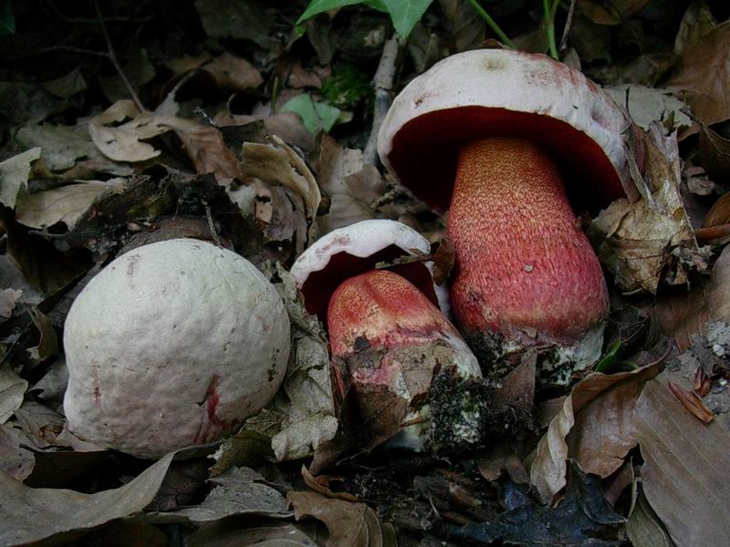 ritrovamenti del 27.09 .05