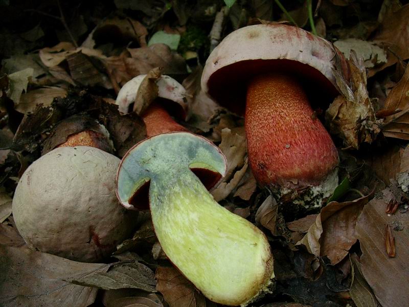 ritrovamenti del 27.09 .05