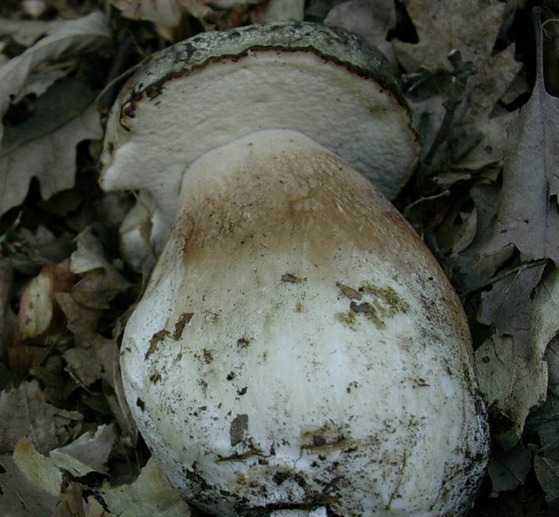 ritrovamenti del 27.09 .05