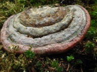 Cronaca di un sabato disgraziato