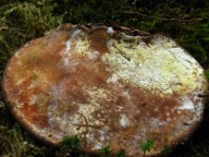 Cronaca di un sabato disgraziato