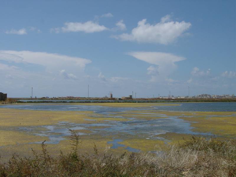 SIC Sicilia: le saline di Trapani (ITA010007)