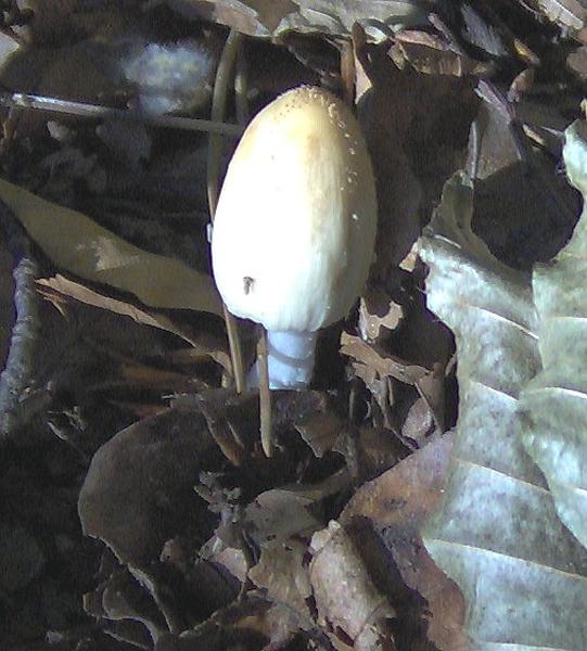 sull''Appennino di ritorno dal Trentino