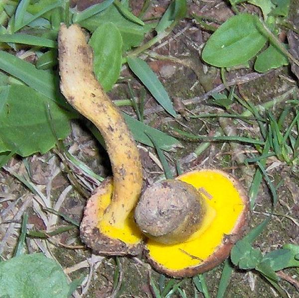 sull''Appennino di ritorno dal Trentino