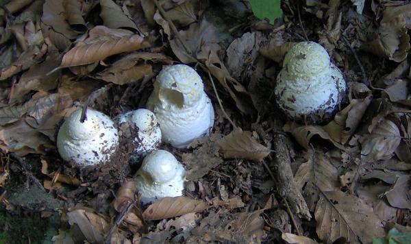 sull''Appennino di ritorno dal Trentino
