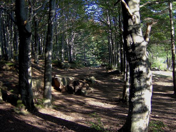 sull''Appennino di ritorno dal Trentino
