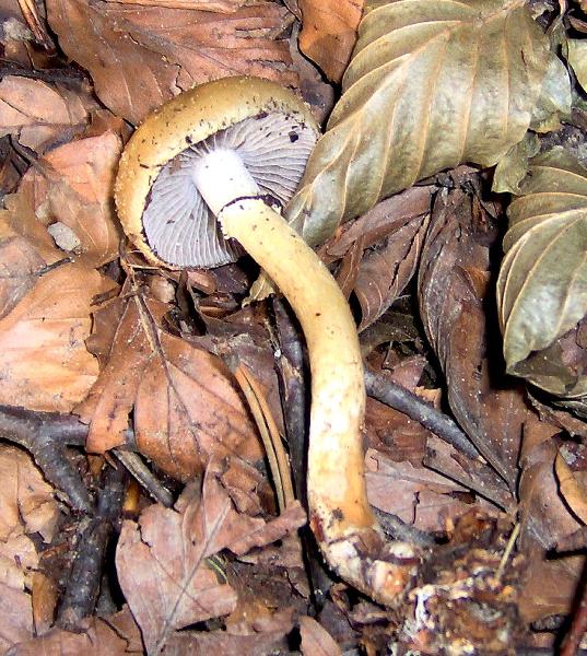 sull''Appennino di ritorno dal Trentino
