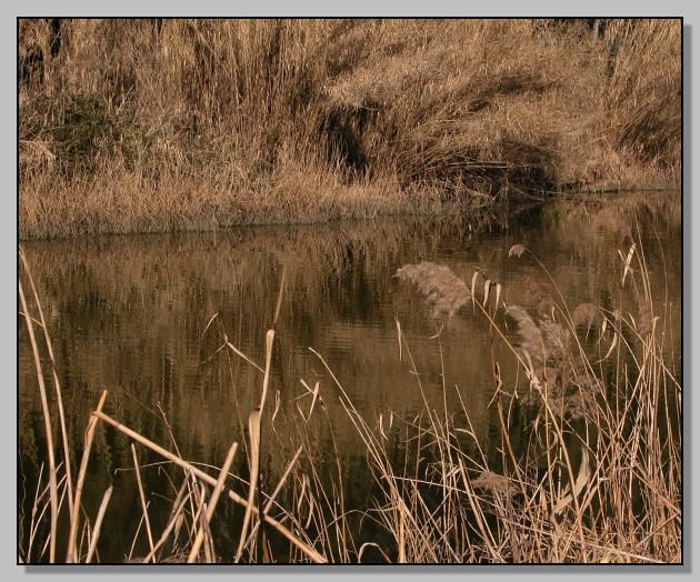 Riflessi - il Canale dello Stagno, Ostia