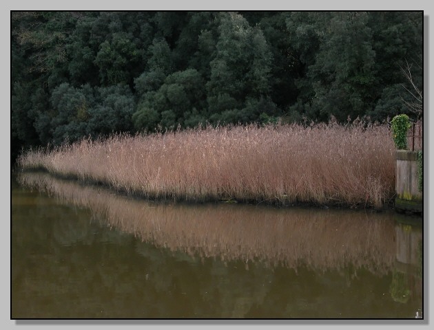 Riflessi - il Canale dello Stagno, Ostia