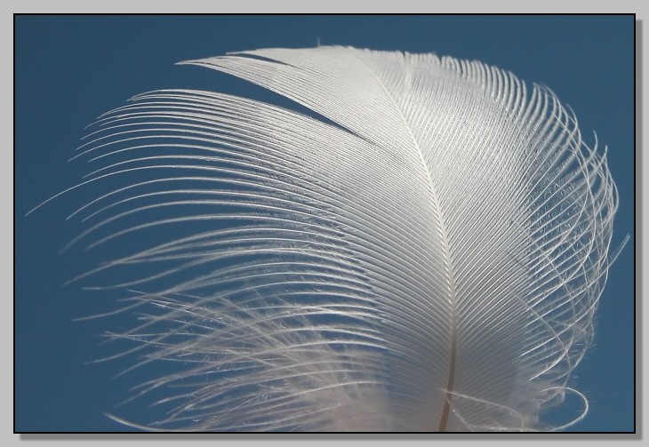 Il pi vicino che riesco ad arrivare...