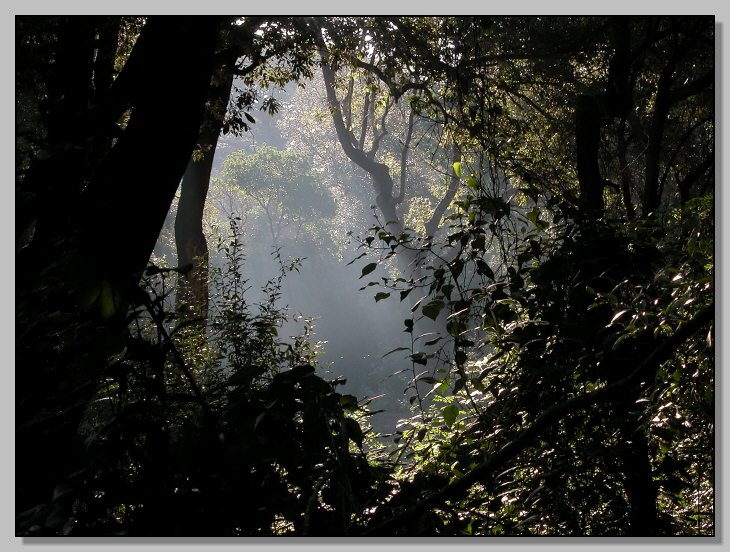 Quando autunno arriva...