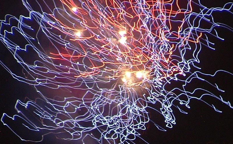 Fuochi di Ferragosto