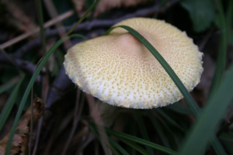 Sui colli Piacentini