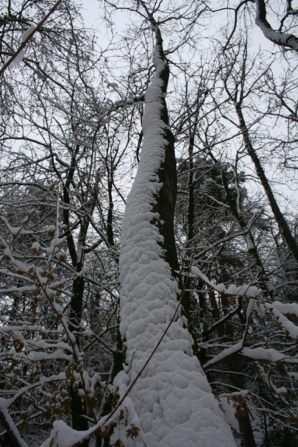 Bianco d''inverno