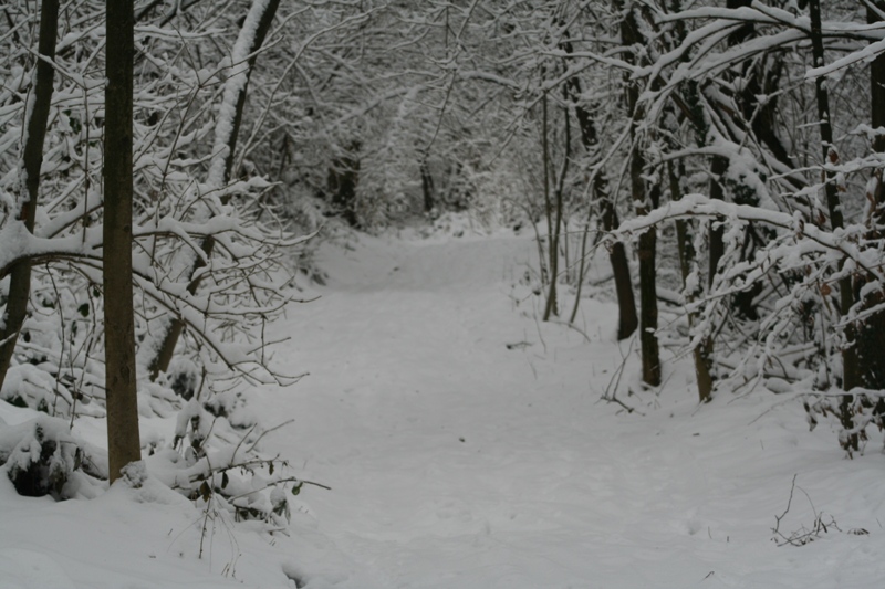 Bianco d''inverno