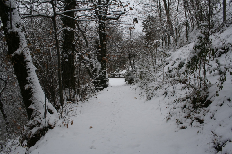 Bianco d''inverno