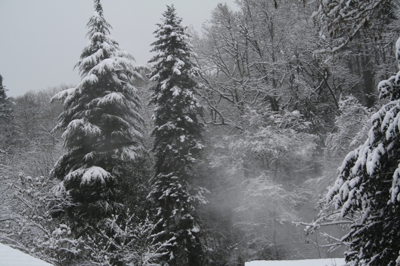 Bianco d''inverno