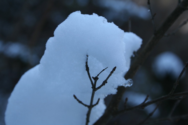 Bianco d''inverno
