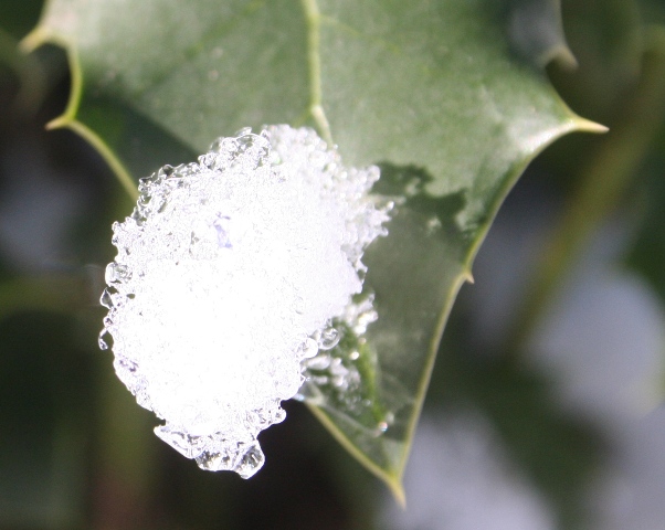 Bianco d''inverno