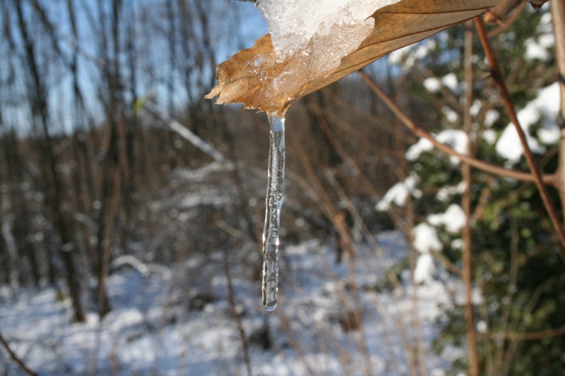 Bianco d''inverno