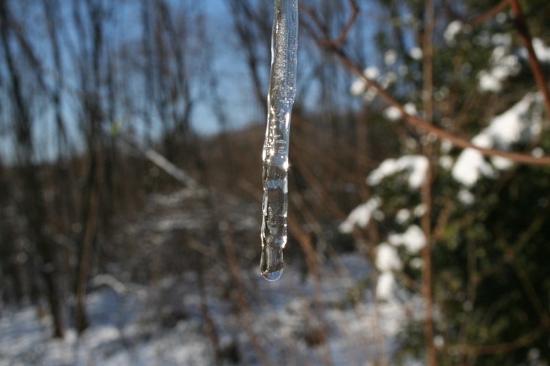 Bianco d''inverno