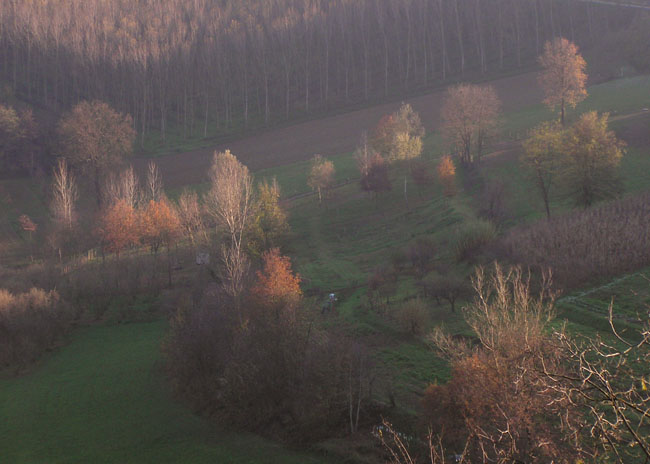 alba chiara