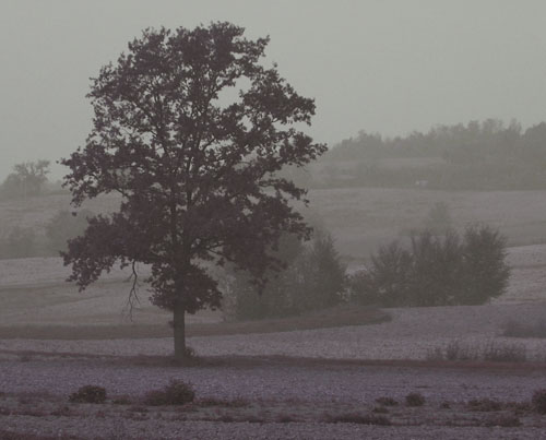 Argento d''autunno