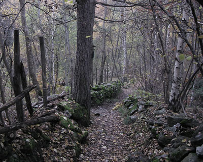 Argento d''autunno