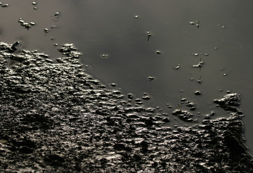 Argento d''autunno