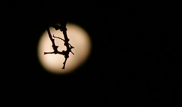 notte di luna