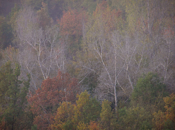 autunno  in monferrato