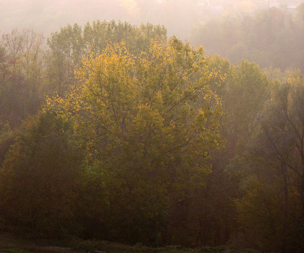 autunno  in monferrato