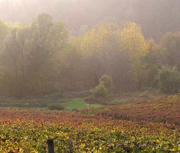 autunno  in monferrato