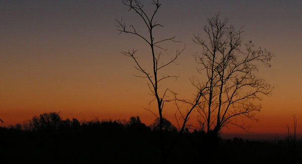 notte di luna