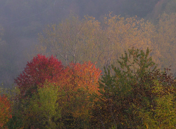 Rosso d''autunno