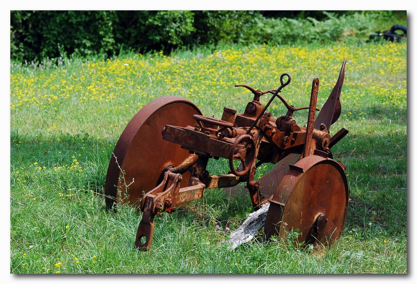 Antiquariato agricolo...