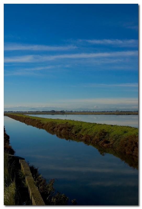 Saline di Cervia (RA)