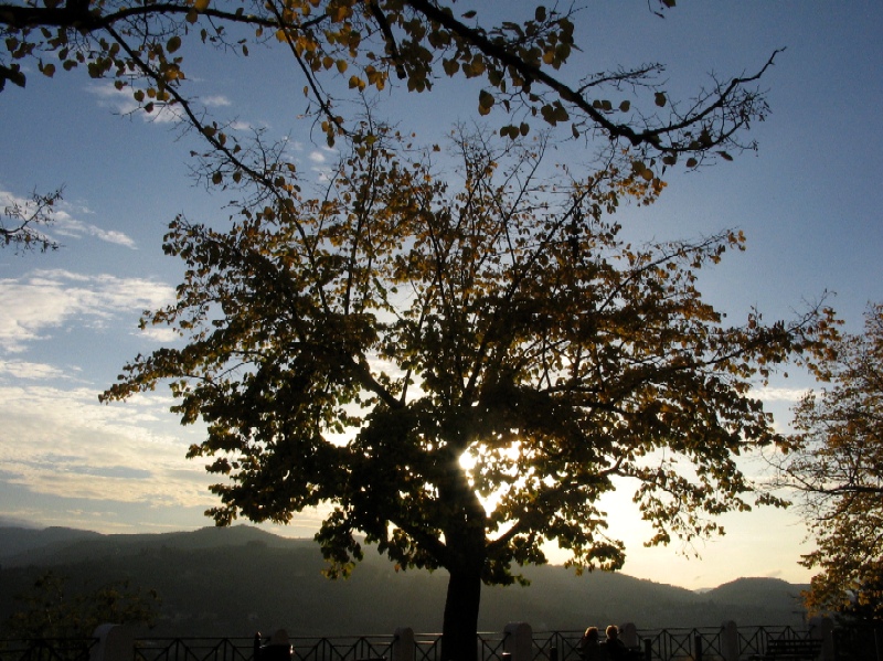 Colori della natura