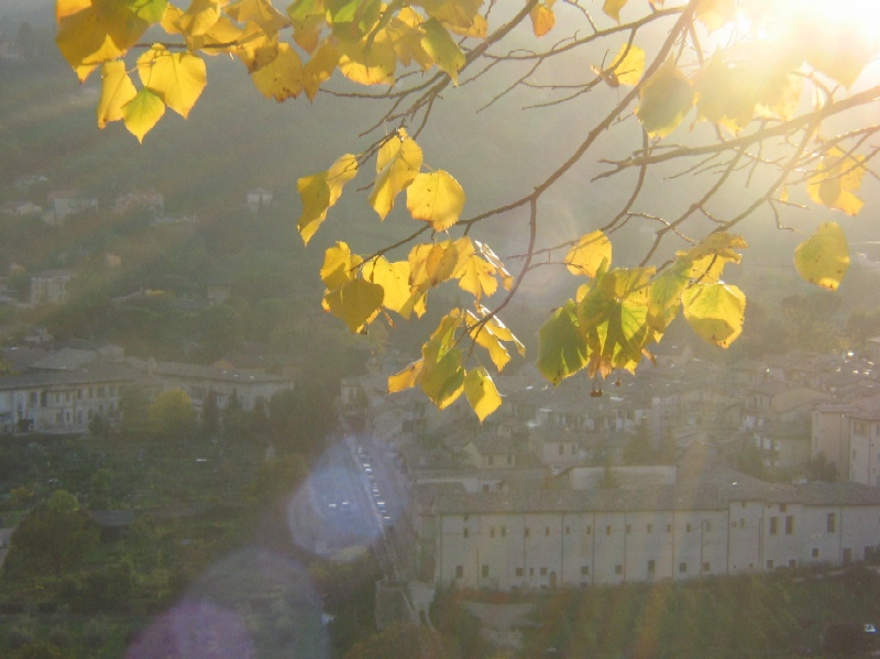 Colori della natura
