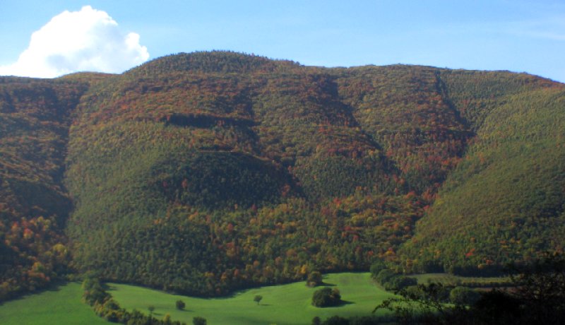Colori della natura