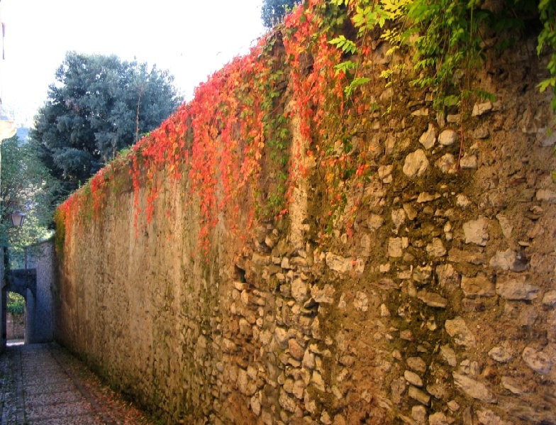 Colori della natura