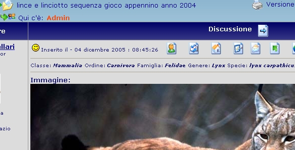 AGGIORNAMENTO SOFTWARE